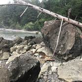 Review photo of Ozette Campground - Olympic National Park by Stephanie Z., August 20, 2018