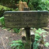 Review photo of Ozette Campground - Olympic National Park by Stephanie Z., August 20, 2018