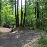 Review photo of Beaver Campground by Stephanie Z., August 20, 2018