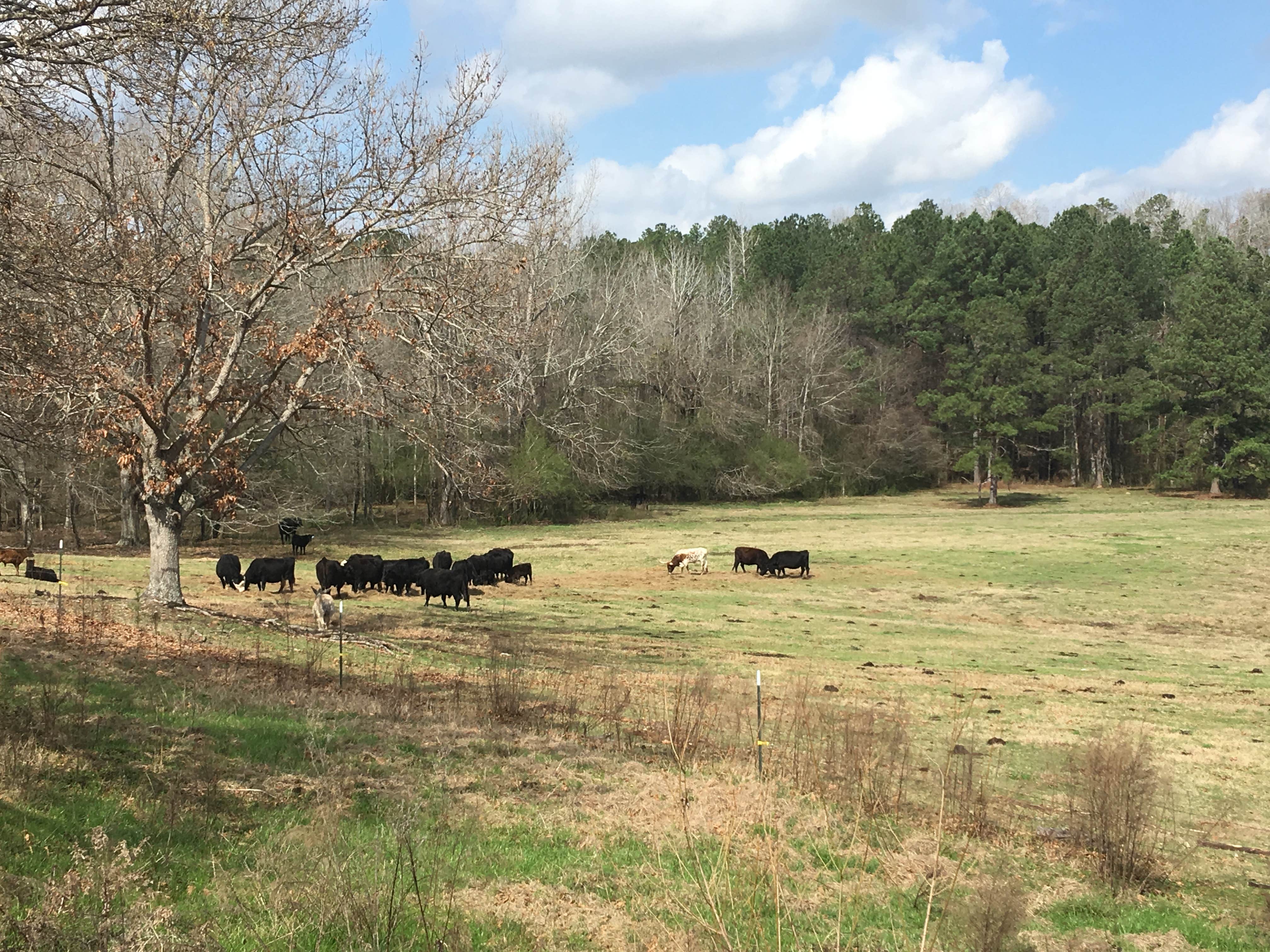 Camper-submitted photo at Bar-W RV Park near Kent, AL
