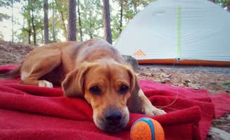 2SHOE S.'s photo of camping with pets at Lake Ouachita State Park Campground near Hot Springs National Park, AR