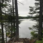 Review photo of Woodford State Park Campground by Sandy M., August 20, 2018