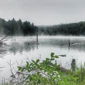 Review photo of Woodford State Park Campground by Sandy M., August 20, 2018