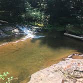 Review photo of Porcupine Mountains Backcountry Camping — Porcupine Mountains Wilderness State Park by Ashley D., August 20, 2018