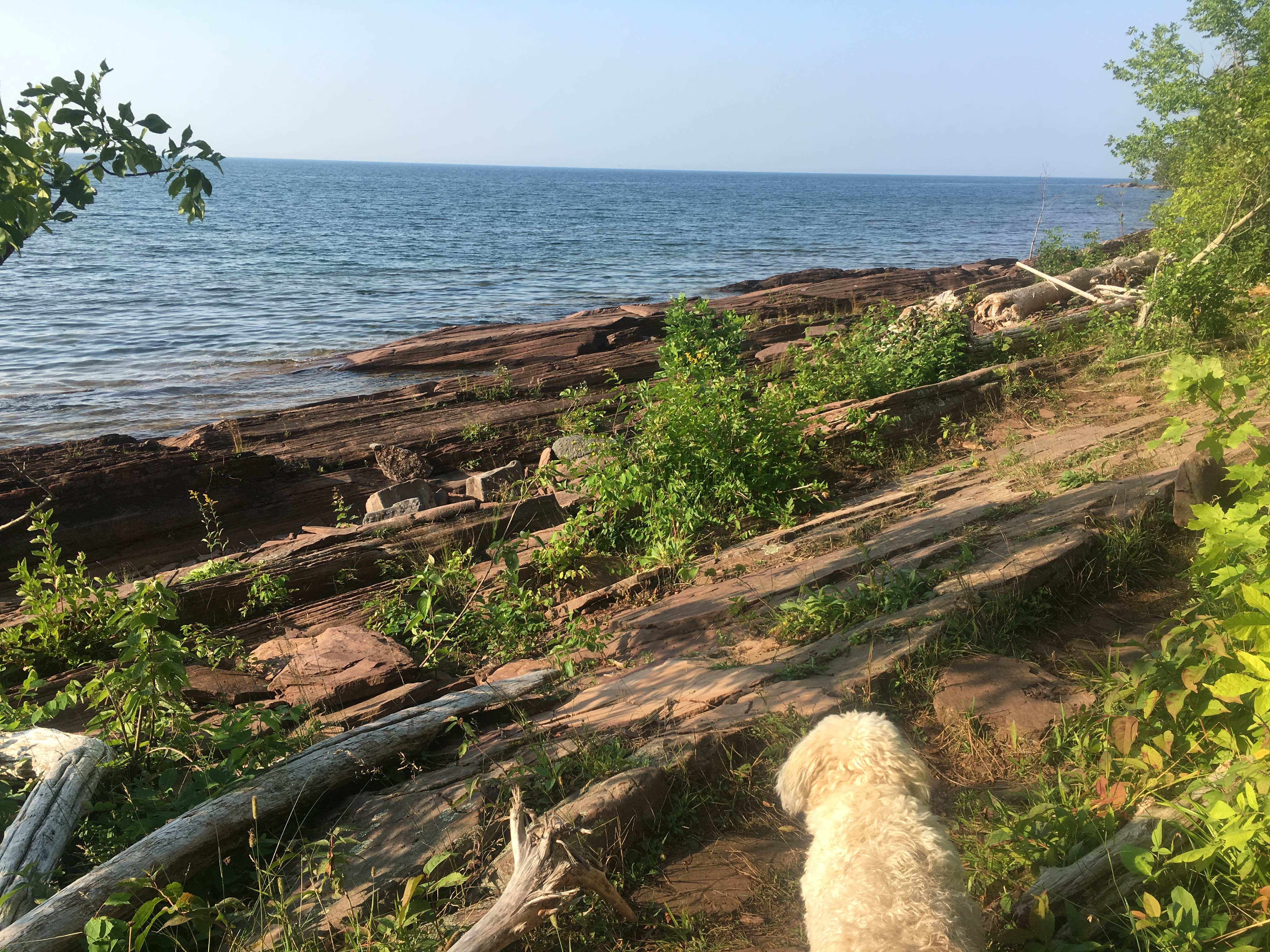 Ashley D.'s photo of camping with pets at Porcupine Mountains Backcountry Camping — Porcupine Mountains Wilderness State Park near Ewen, MI