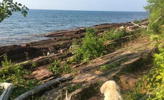 Ashley D.'s photo of camping with pets at Porcupine Mountains Backcountry Camping — Porcupine Mountains Wilderness State Park near White Pine, MI