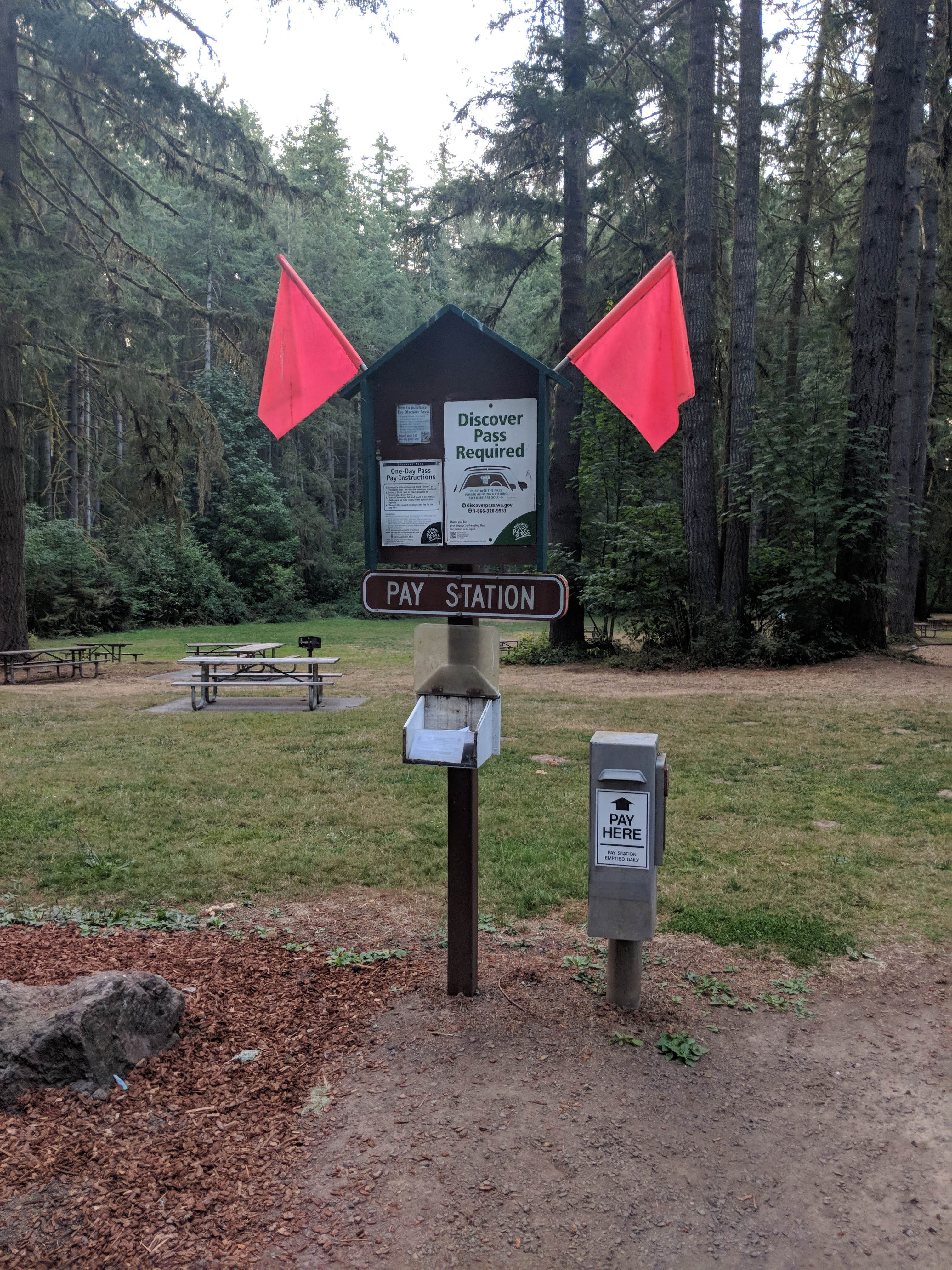 Camper submitted image from Seaquest State Park Campground - 5