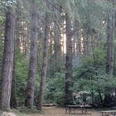 Review photo of Seaquest State Park Campground by Mary C., August 20, 2018