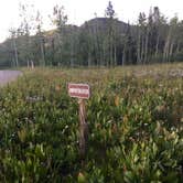 Review photo of Dutch Hill Campground — Steamboat Lake State Park by Derek E., August 20, 2018