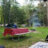 Review photo of Mohican State Park Campground by Larry M., August 20, 2018