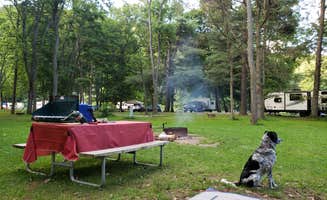 Larry M.'s photo of camping with pets at Mohican State Park Campground in Ohio
