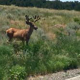 Review photo of Alamosa KOA by Derek E., August 20, 2018