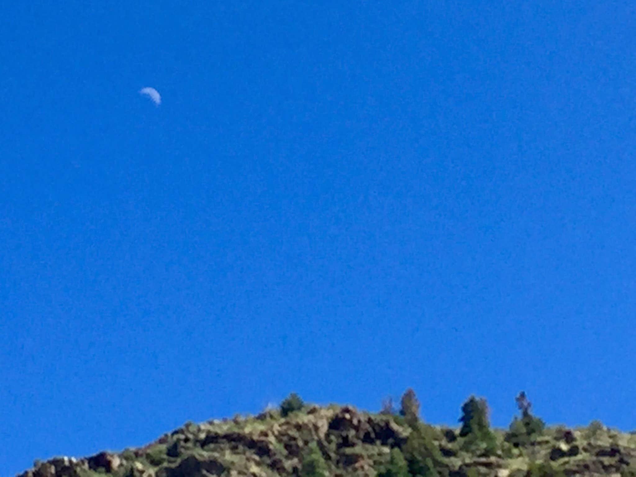 Camper-submitted photo at Alamosa KOA near Mosca, CO