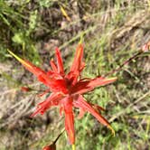 Review photo of Alamosa KOA by Derek E., August 20, 2018