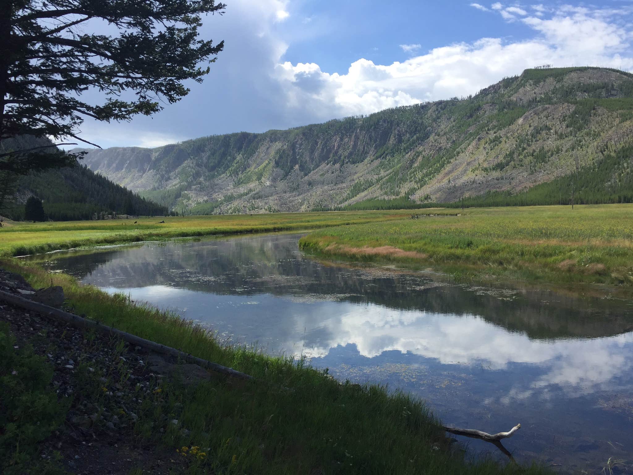 Camper-submitted photo at Yellowstone Park-Mountainside KOA near Yellowstone National Park