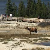 Review photo of Yellowstone Park-Mountainside KOA by Derek E., August 20, 2018