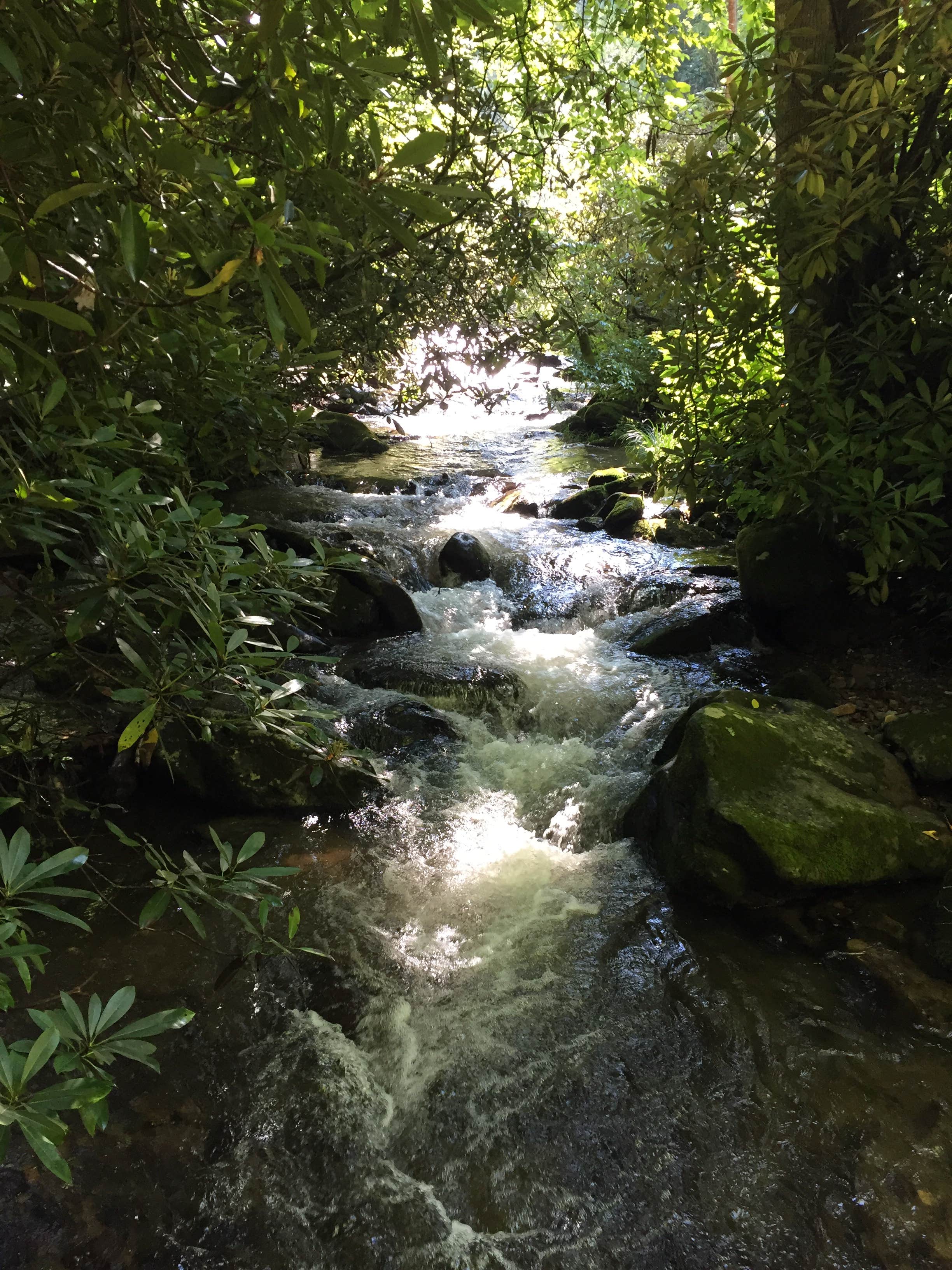 Camper-submitted photo at Indian Creek Campground near Sylva, NC