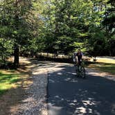 Review photo of Petit Jean State Park — Petit Jean State Park by 2SHOE S., August 16, 2018