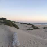 Review photo of Nehalem Bay State Park Campground by Daniel L., August 20, 2018