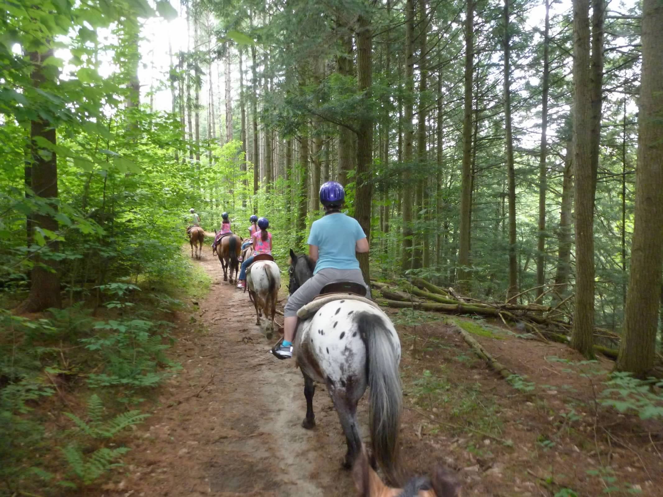 Horseback-riding 10 minutes away in Danby