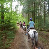 Review photo of Emerald Lake State Park Campground by Ming R., August 19, 2018