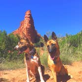 Review photo of South Prong Primitive Camping Area — Caprock Canyons State Park by Courtney R., August 20, 2018