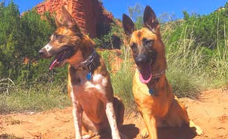 Courtney R.'s photo of camping with pets at South Prong Primitive Camping Area — Caprock Canyons State Park near Plainview, TX