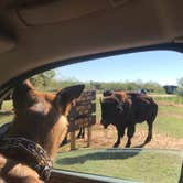 Review photo of South Prong Primitive Camping Area — Caprock Canyons State Park by Courtney R., August 20, 2018