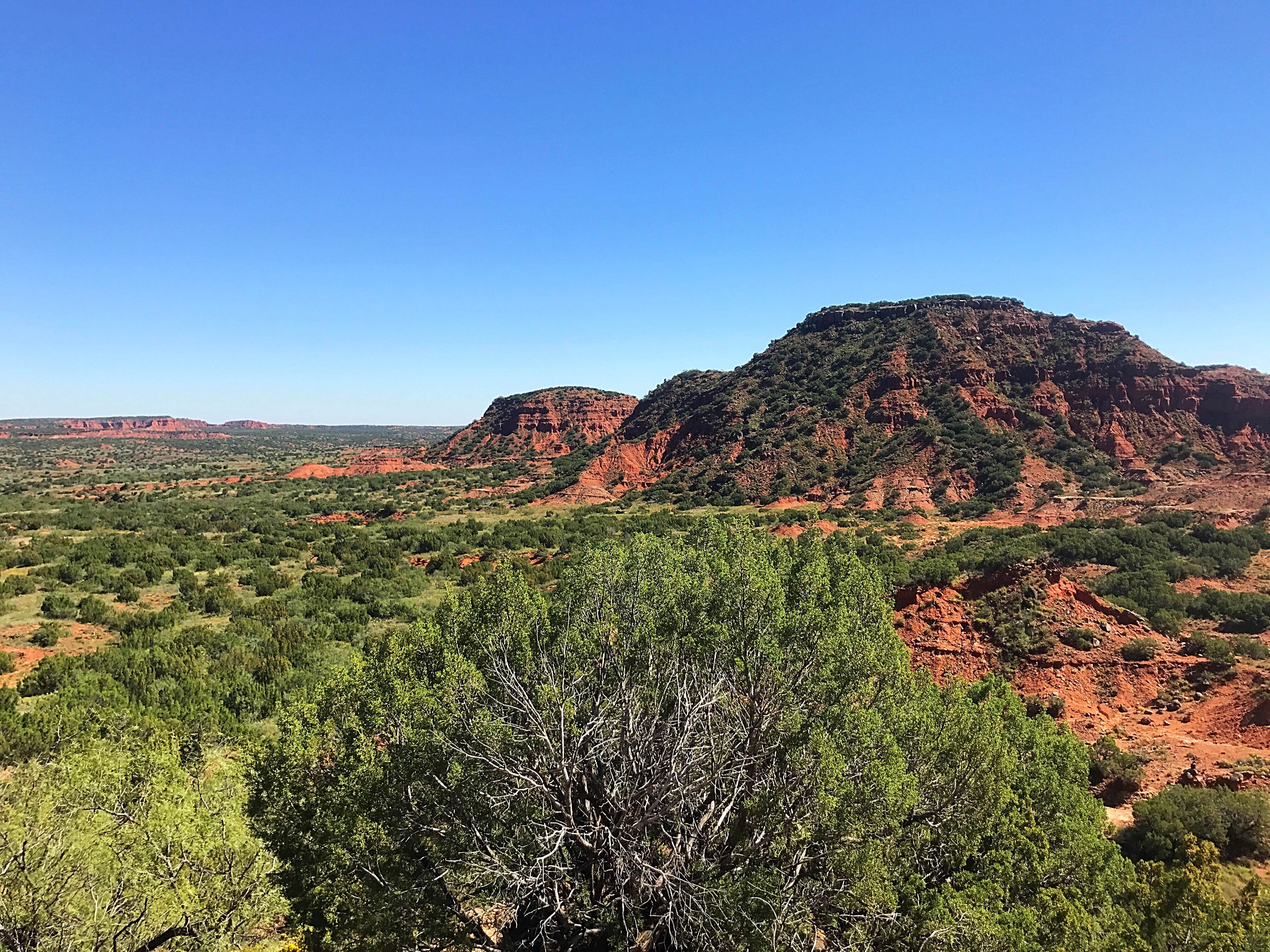 Camper submitted image from South Prong Primitive Camping Area — Caprock Canyons State Park - 2