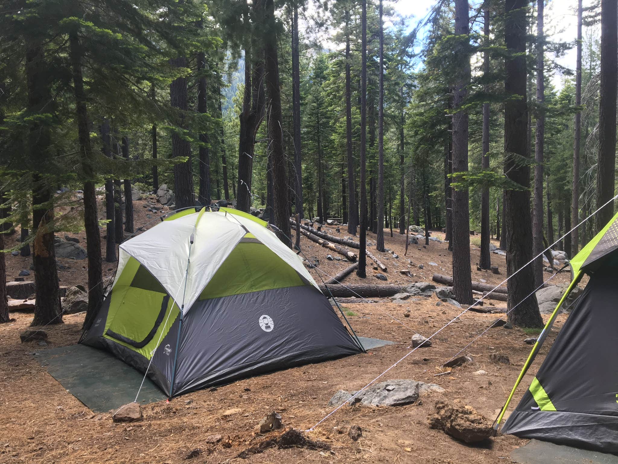 Laura H.'s photo at D.L. Bliss State Park Campground near Tahoe City, CA