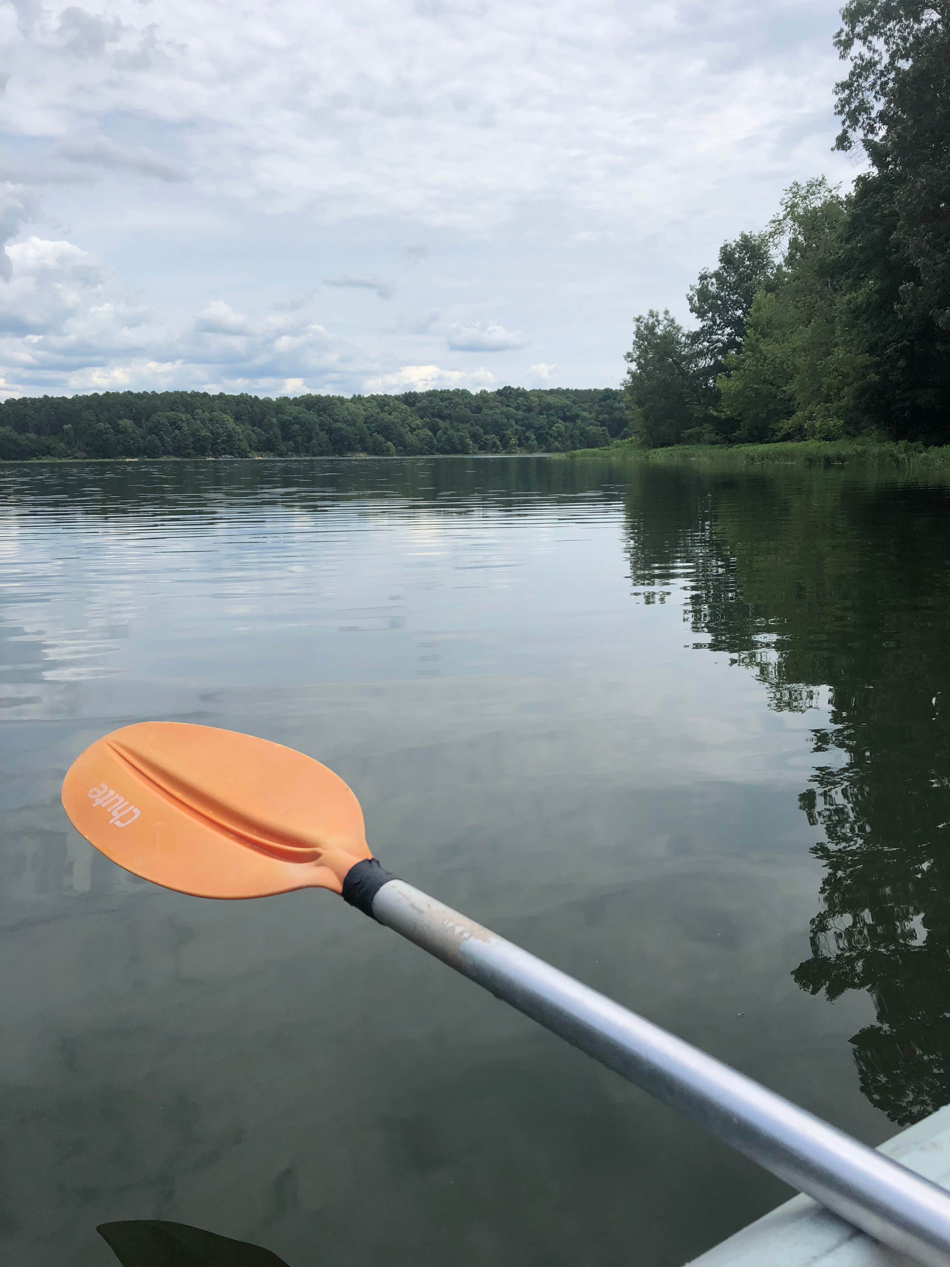 Camper submitted image from Little Grassy Lake - Crab Orchard NWR - 2