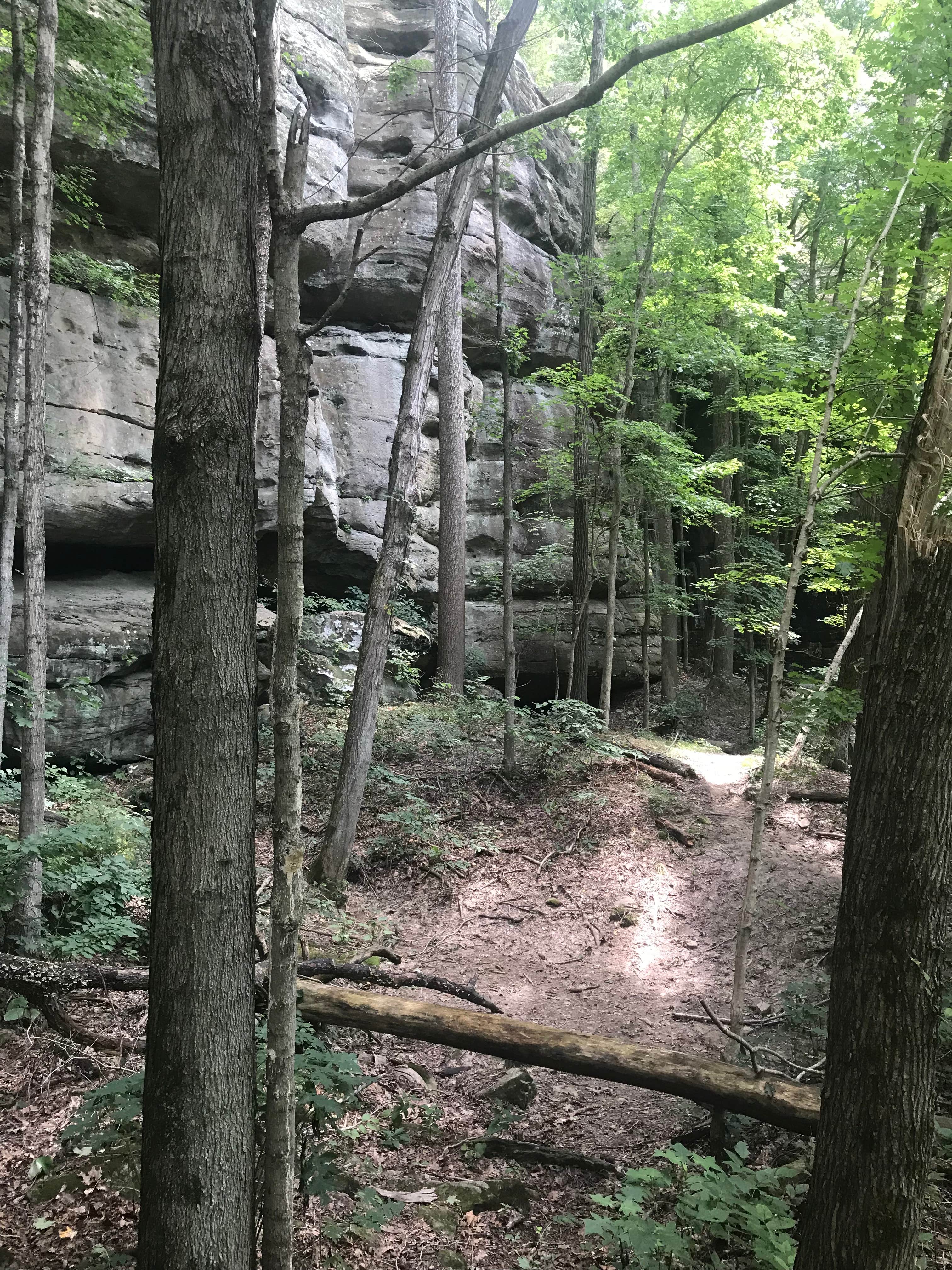 Nature