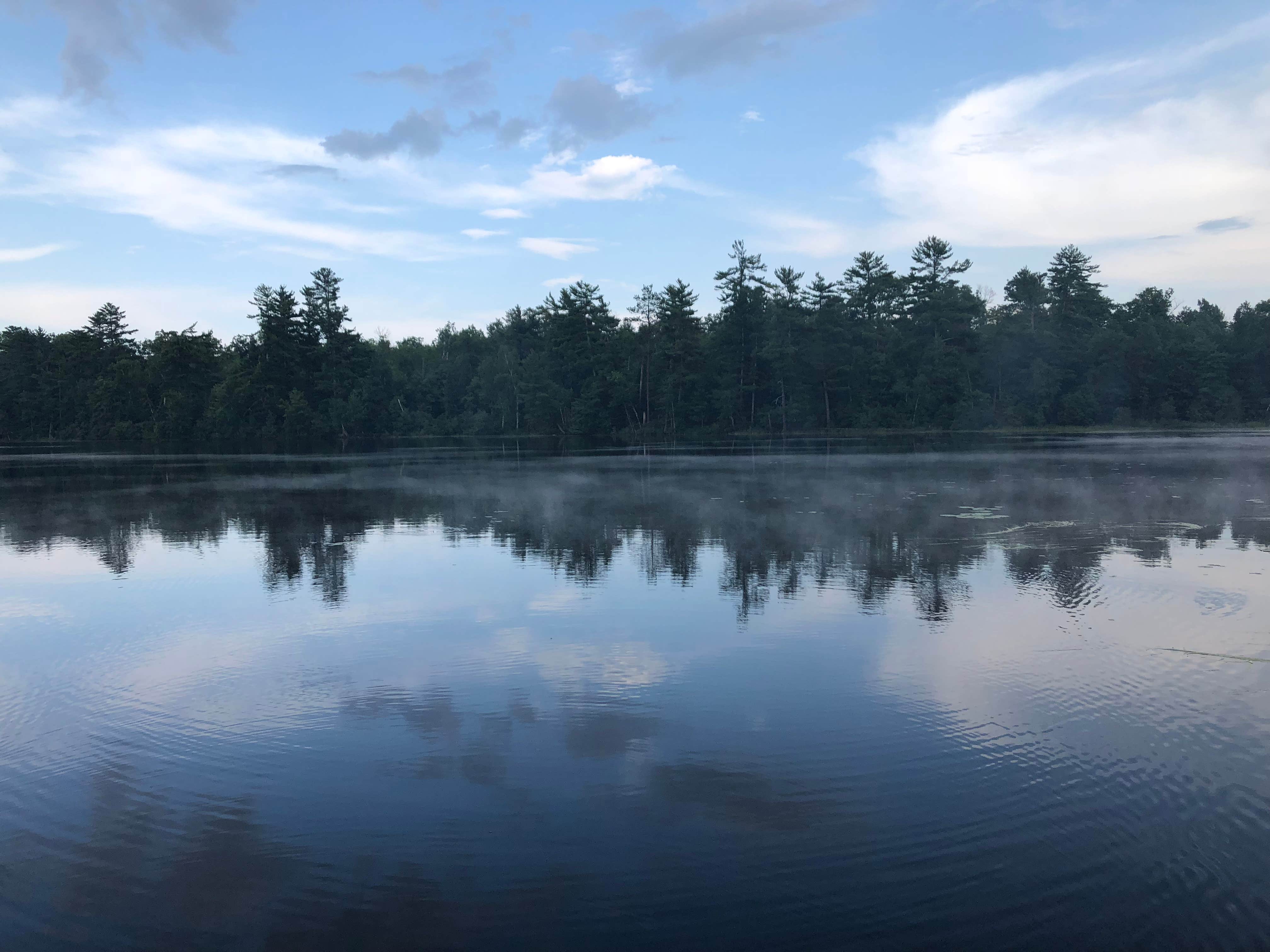 Foggy morning 