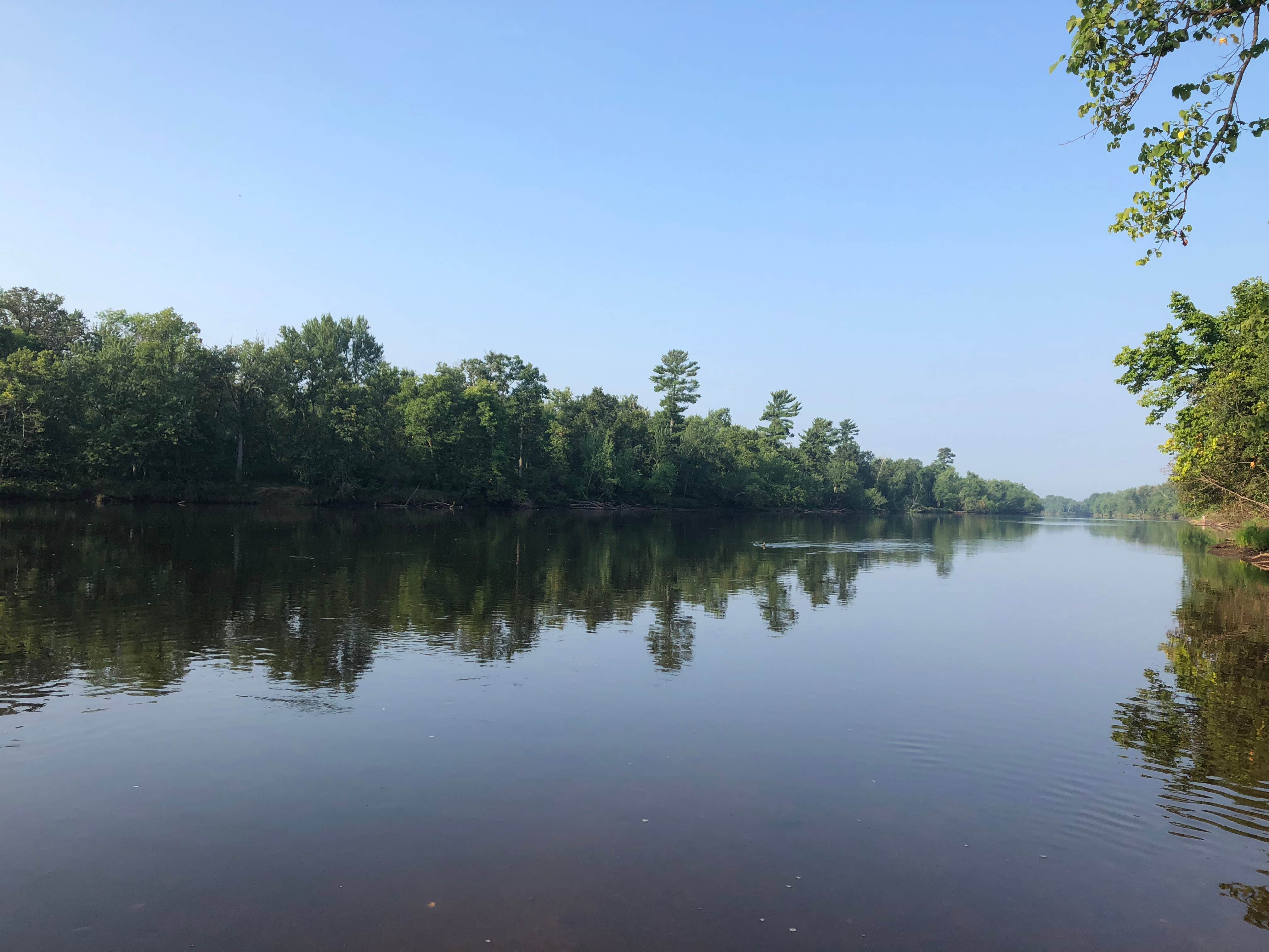 Camper submitted image from Old Logging Trail — St. Croix State Park - 2