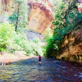 Review photo of South Campground — Zion National Park by Alanna V., August 21, 2018