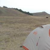 Review photo of Sage Creek Campground by Julia B., August 21, 2018