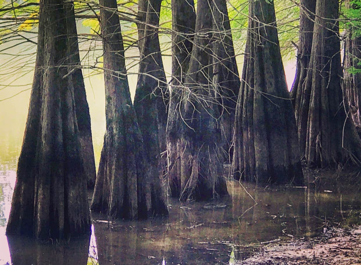 Camper-submitted photo at COE Lake Greeson Star of the West near Dierks, AR