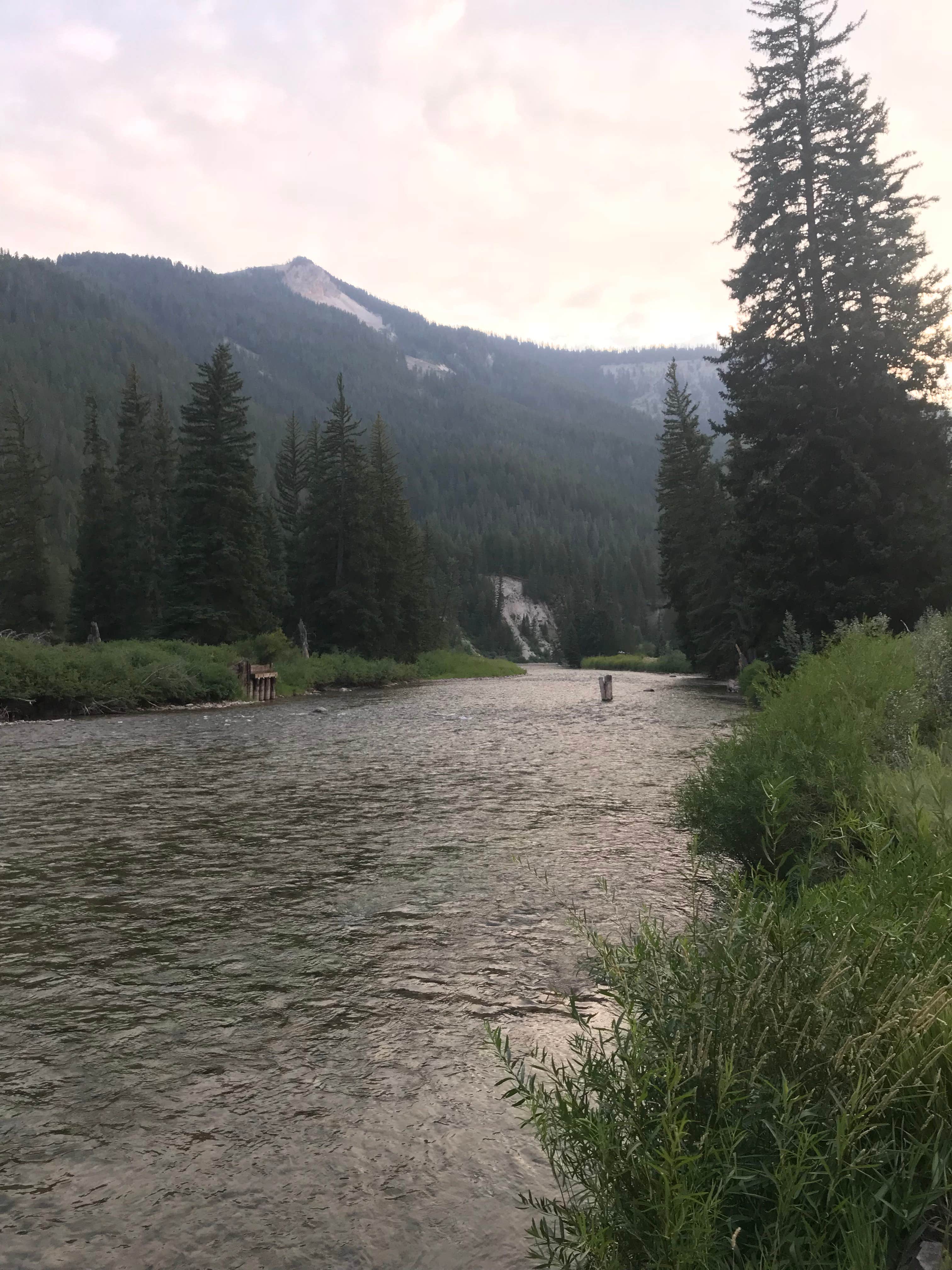 Hoback River Area The Dyrt