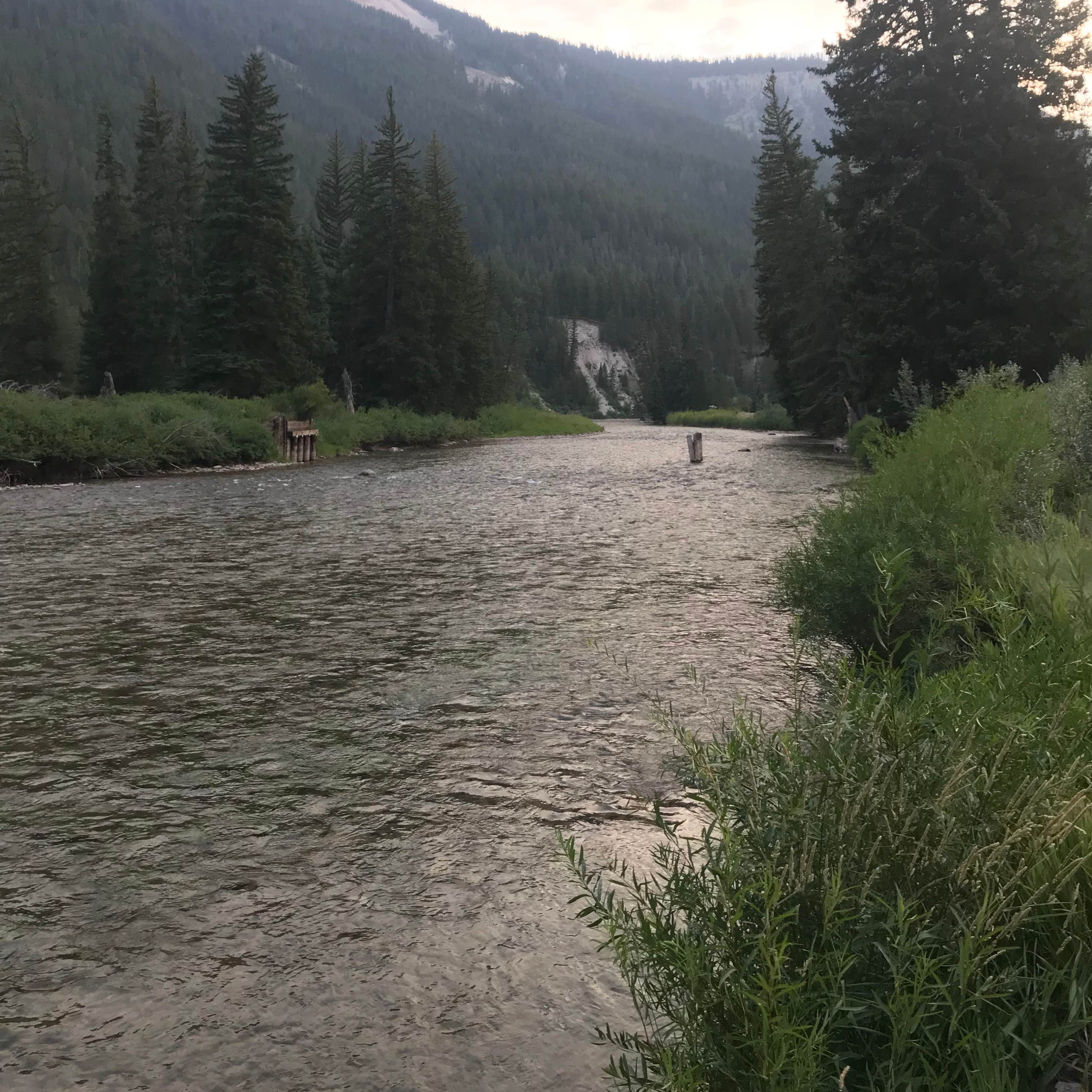 Hoback River Area The Dyrt