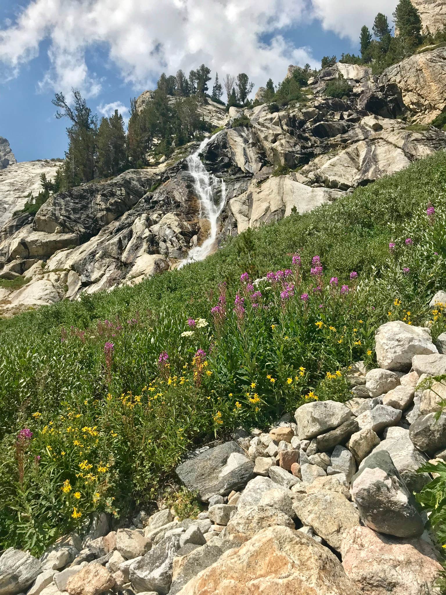 Camper submitted image from The Platforms at Garnet Canyon — Grand Teton National Park - 2