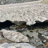 Review photo of The Platforms at Garnet Canyon — Grand Teton National Park by Carrie C., August 21, 2018