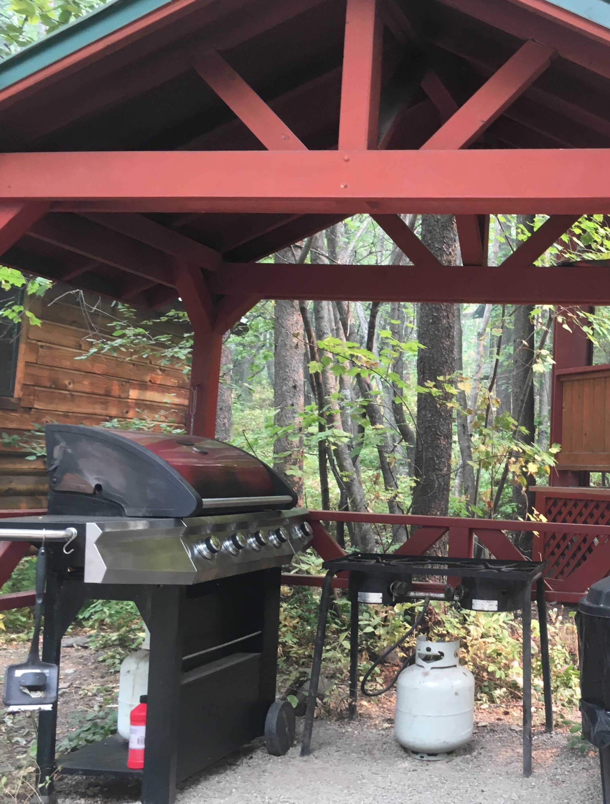 Camper-submitted photo at Glacier Campground in Montana