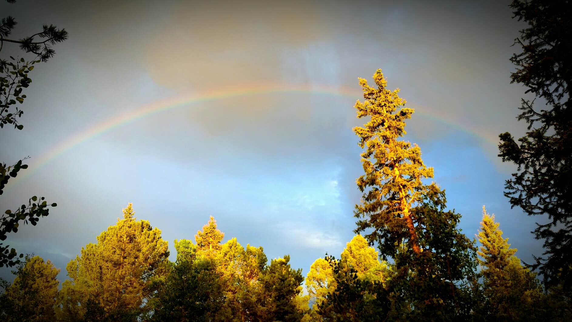 Camper-submitted photo at Mueller State Park Campground near Fairplay, CO