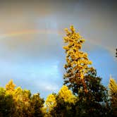 Review photo of Mueller State Park Campground by Tara K., August 21, 2018
