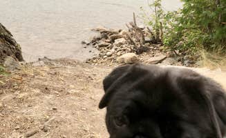 Janet R.'s photo of camping with pets at Mcgregor Lake Campground near Noxon, MT