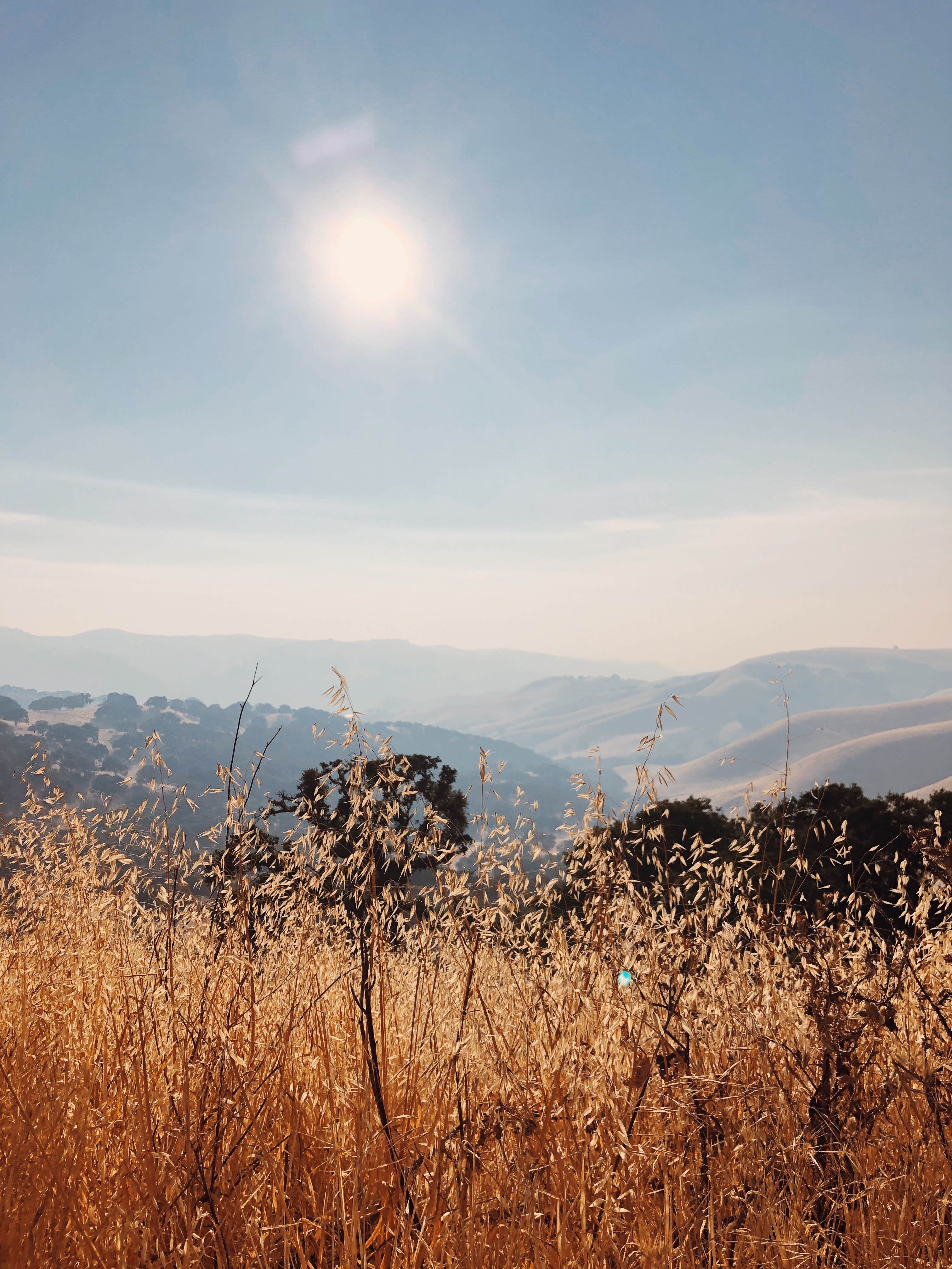 Del Valle Campground — East Bay Regional Park District