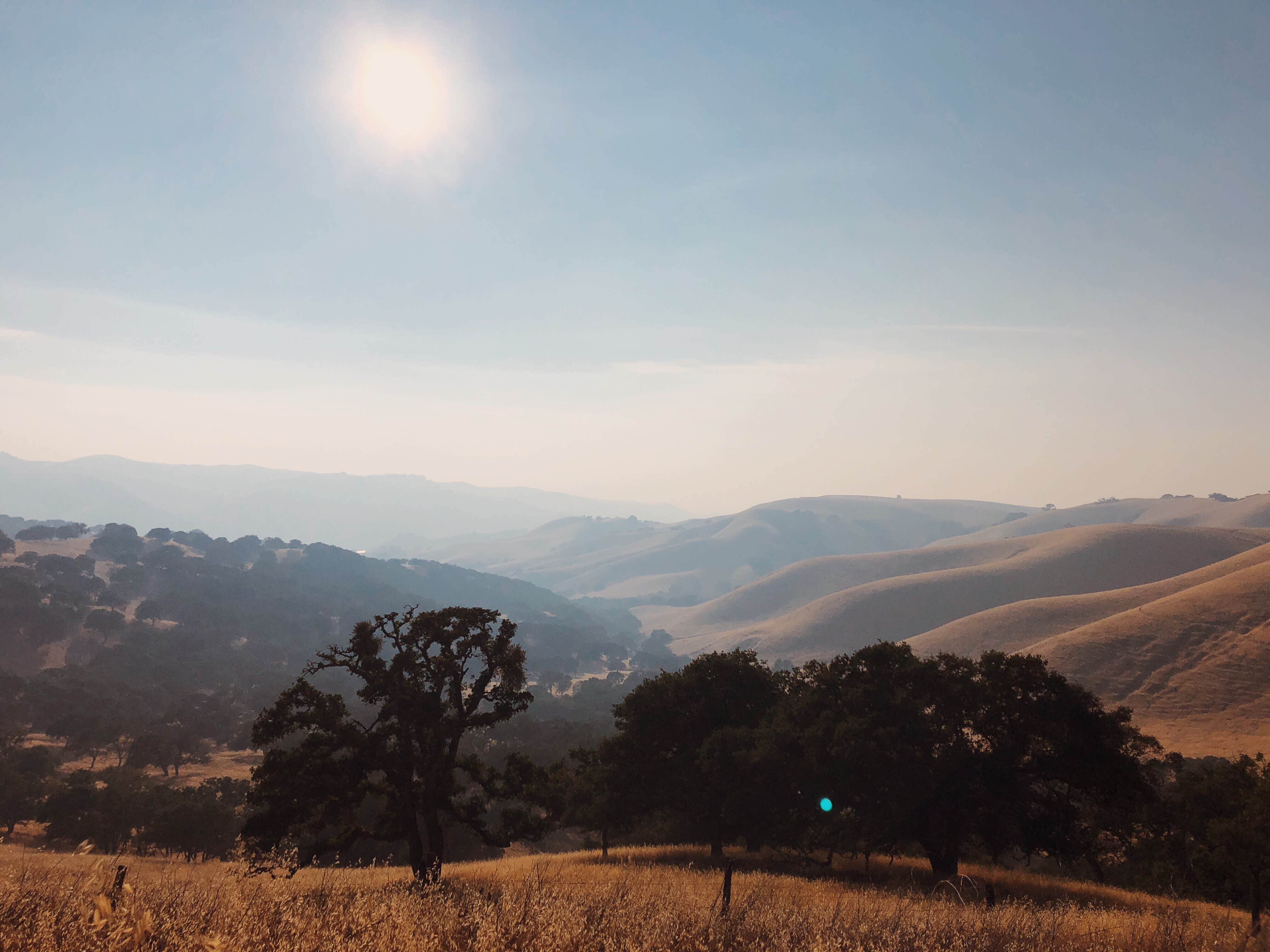 Camper-submitted photo at Del Valle Campground — East Bay Regional Park District near Pittsburg, CA