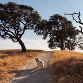 Review photo of Del Valle Regional Park by emmy , August 21, 2018