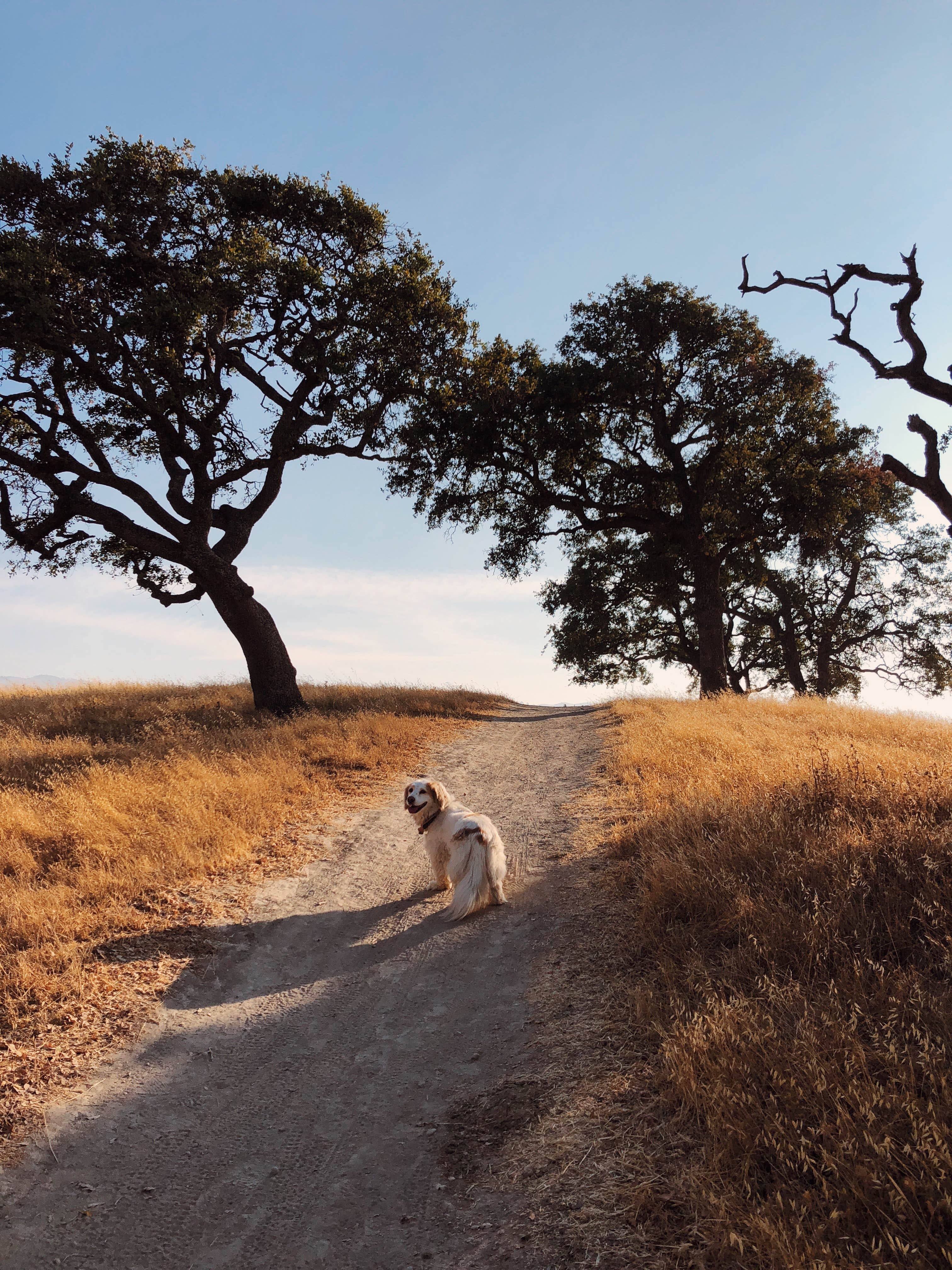 Camper submitted image from Del Valle Regional Park - 1