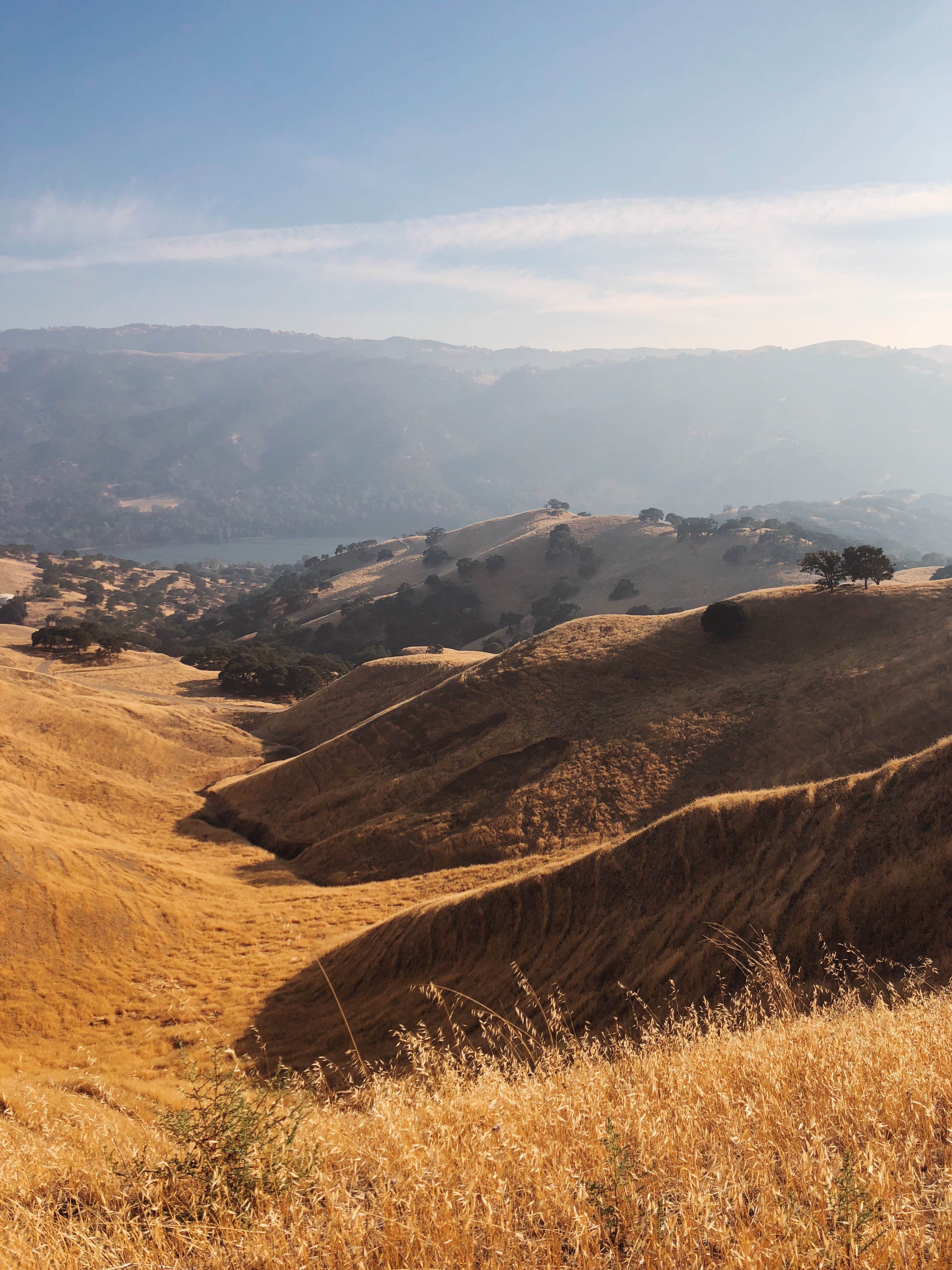 Del Valle Campground — East Bay Regional Park District